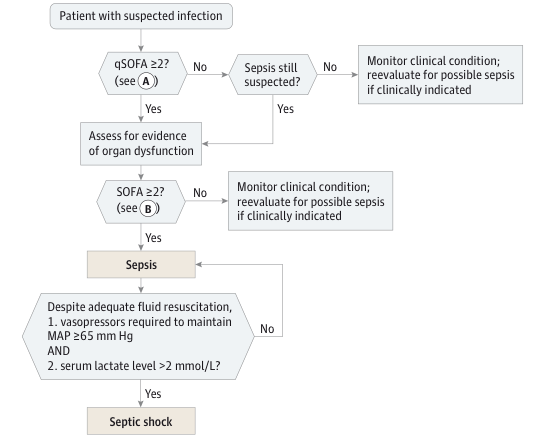 Sepsis - notfallmedizin.blog
